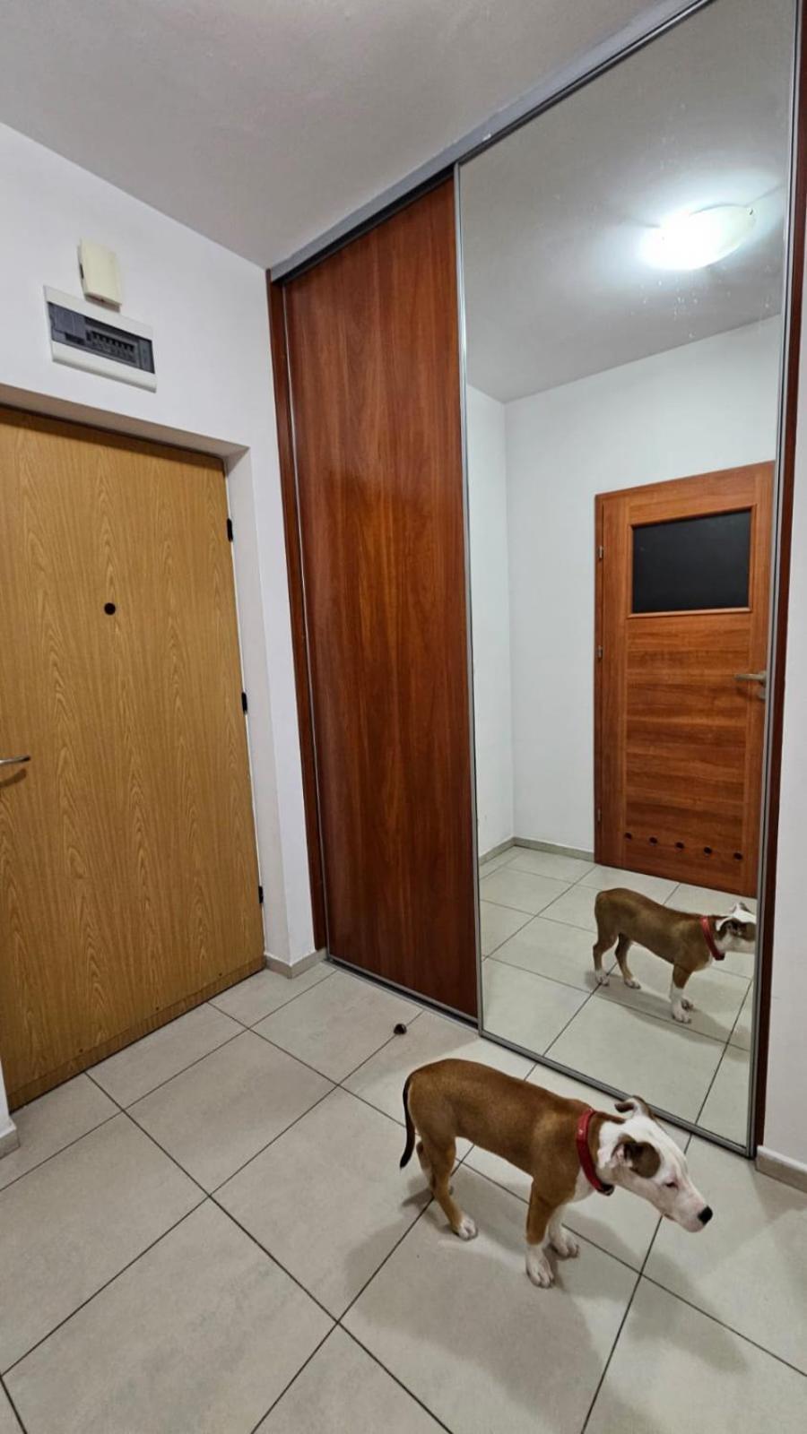 Apartament Lipinskiego Kraków Zewnętrze zdjęcie