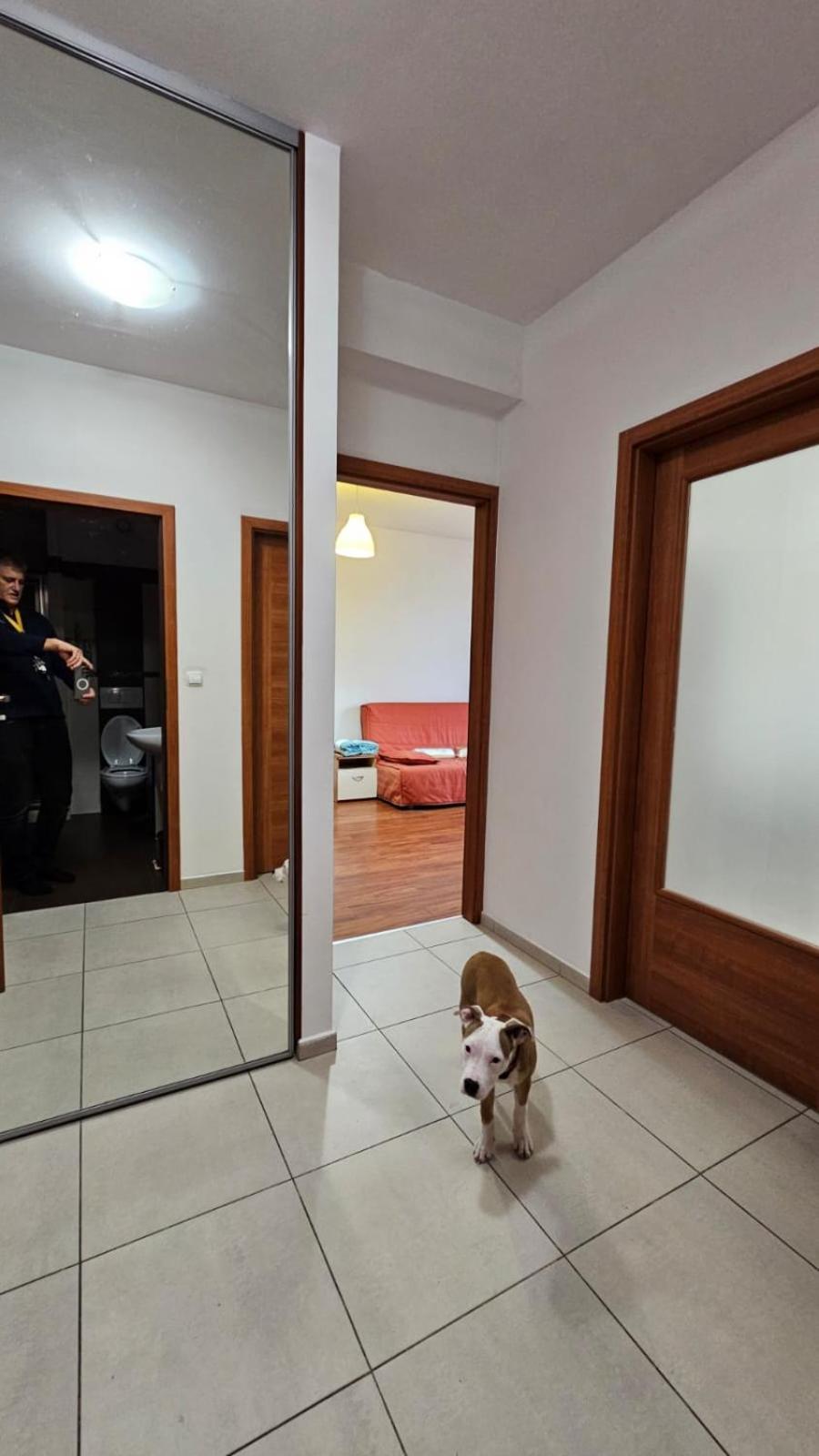 Apartament Lipinskiego Kraków Zewnętrze zdjęcie
