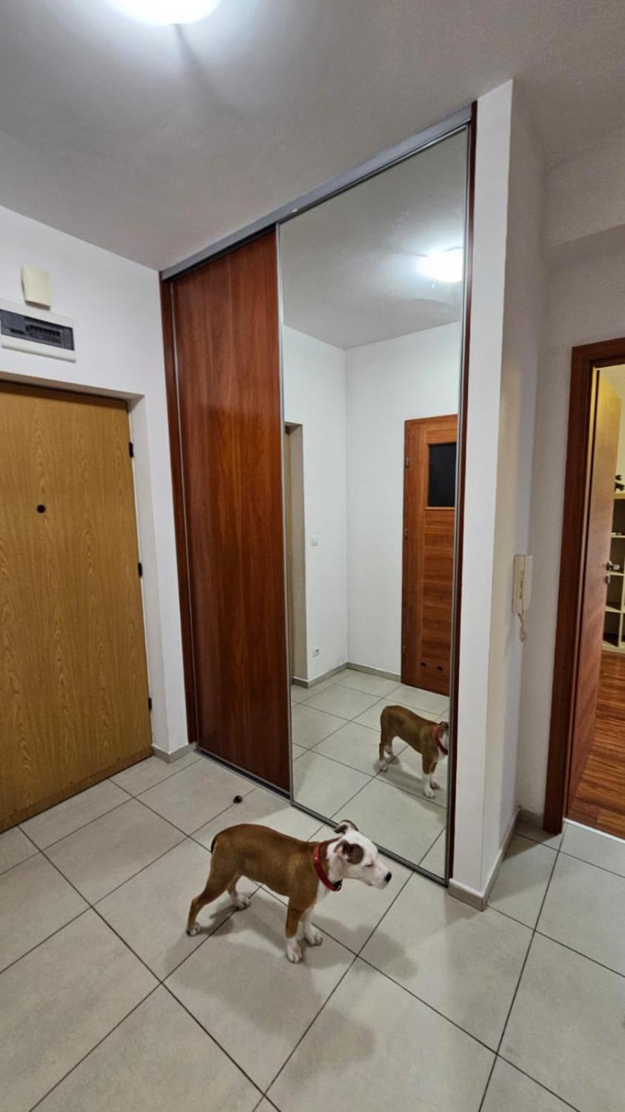 Apartament Lipinskiego Kraków Zewnętrze zdjęcie