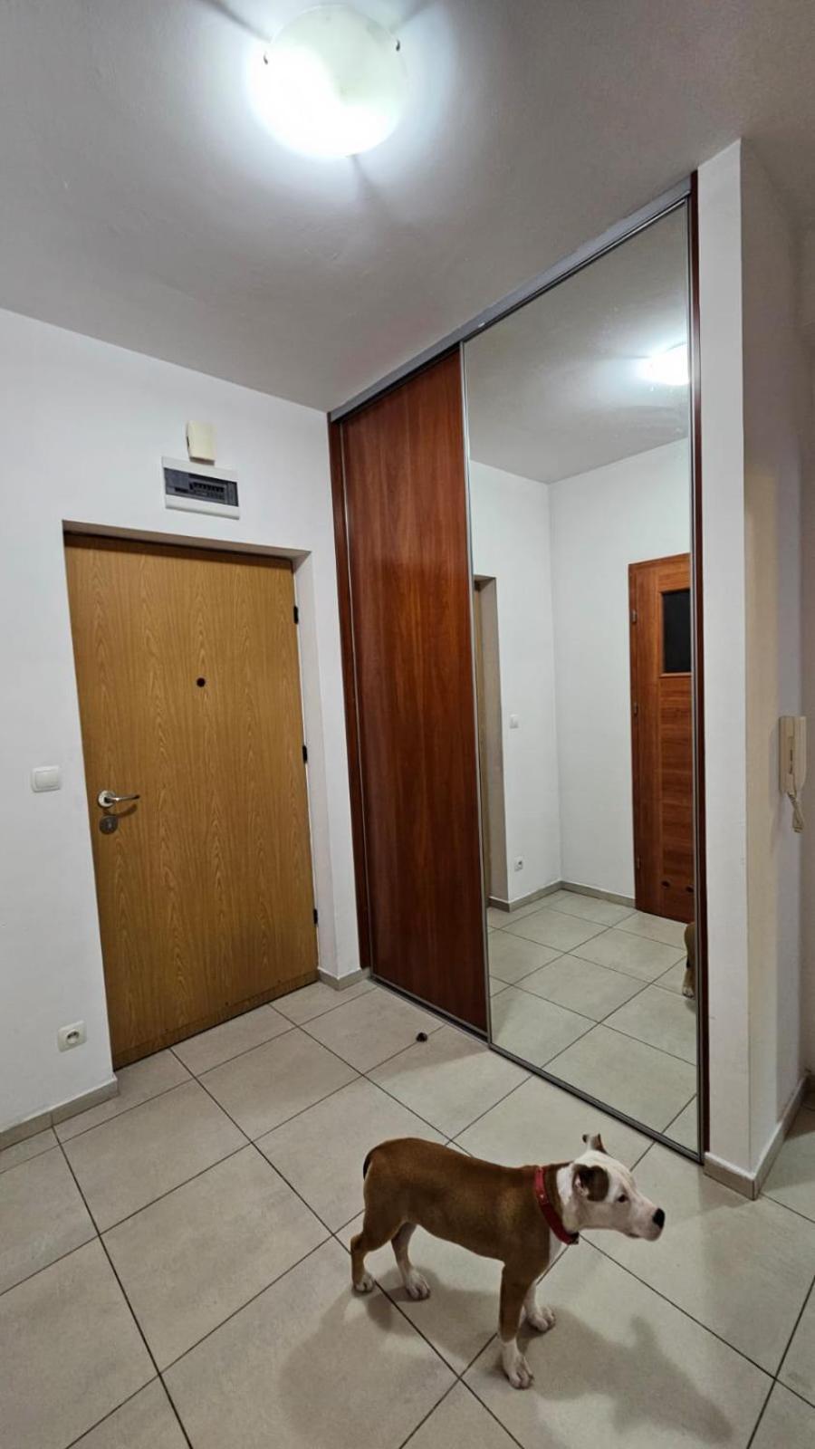 Apartament Lipinskiego Kraków Zewnętrze zdjęcie