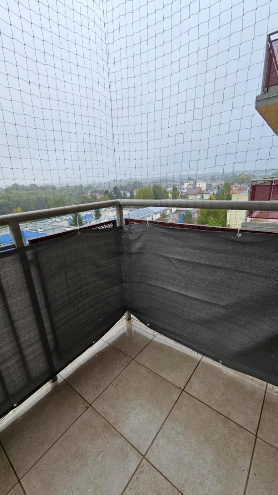 Apartament Lipinskiego Kraków Zewnętrze zdjęcie