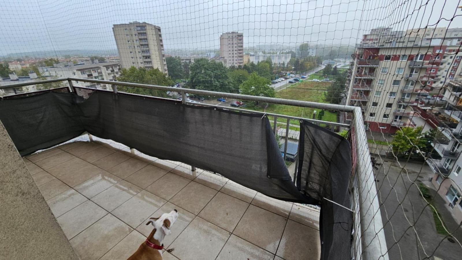 Apartament Lipinskiego Kraków Zewnętrze zdjęcie
